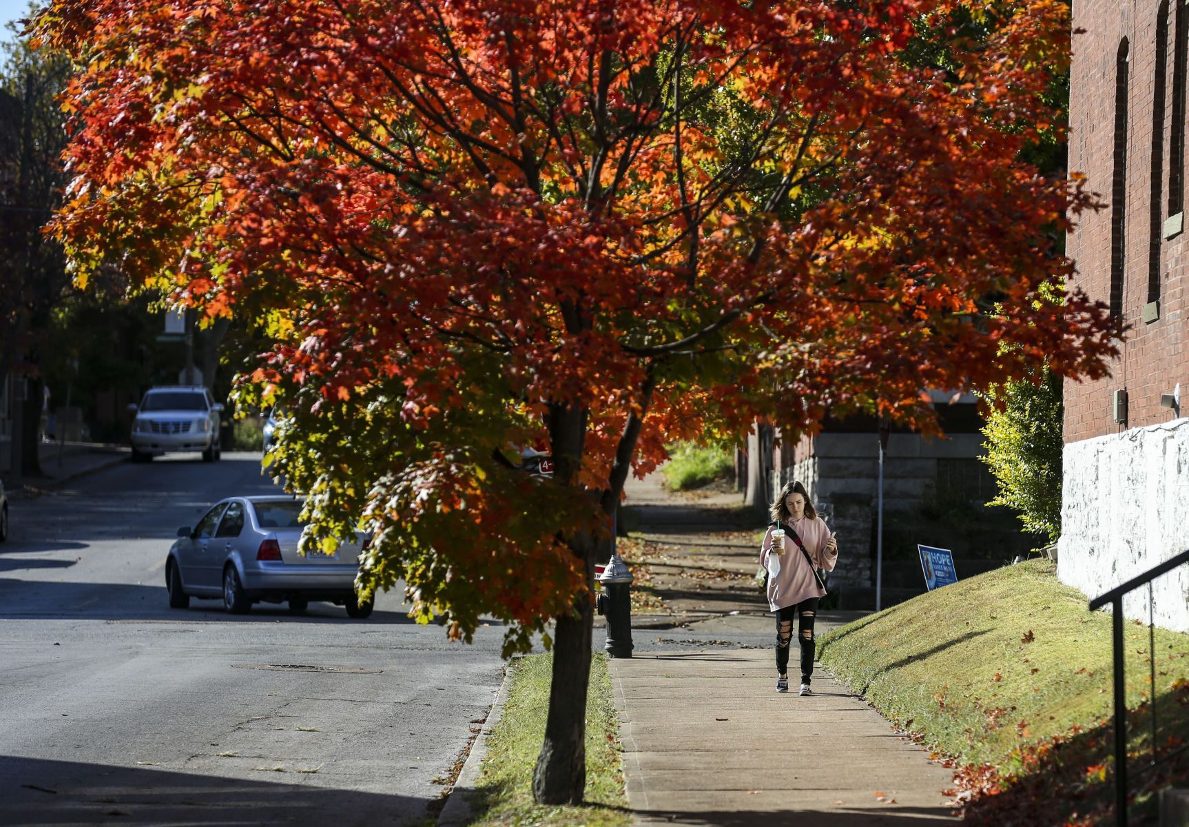 Fall starts to pop